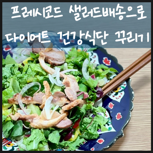  프레시코드 샐러드 배달로 다이어트 건강식단 꾸리기