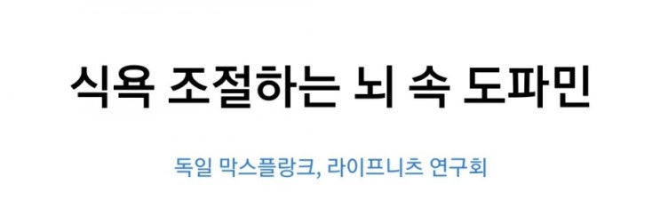  식욕 조절하는 뇌 속 도파민