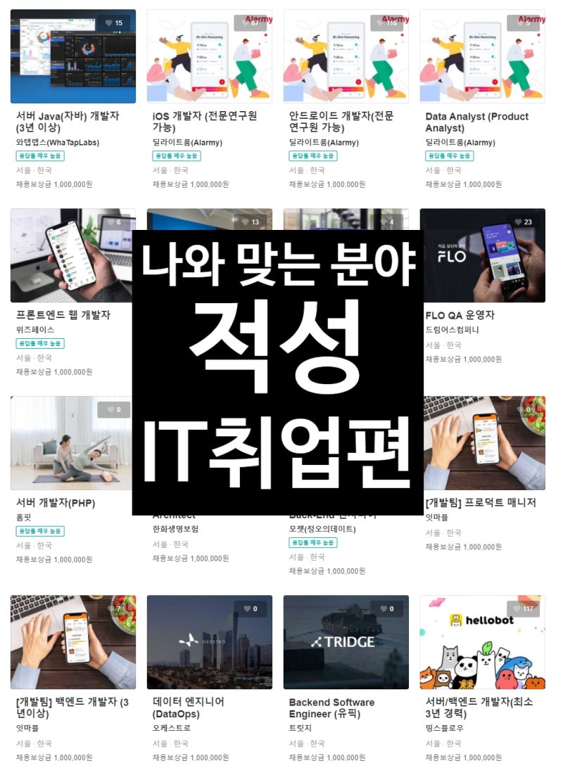 IT관련직업 어떤 유형의 사람이 IT취업 분야로 취업을 할까? : 네이버 블로그