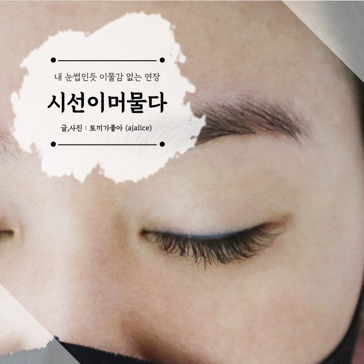관저동 속눈썹 가수원동 속눈썹 시선이 머물다 다녀왔어요 관저동 속눈썹 가수원동 속눈썹 시선이 머물다 다녀왔어요