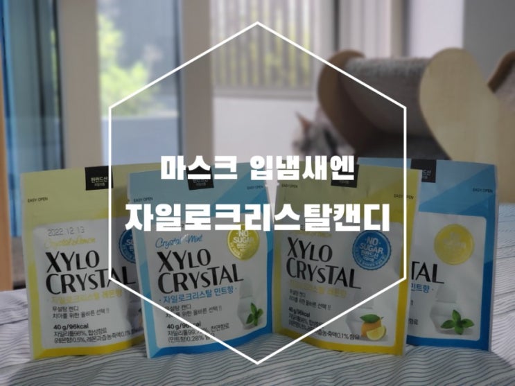 마스크 입냄새 저칼로리 캔디 자일로크리스탈로 해결 마스크 입냄새 저칼로리 캔디 자일로크리스탈로 해결