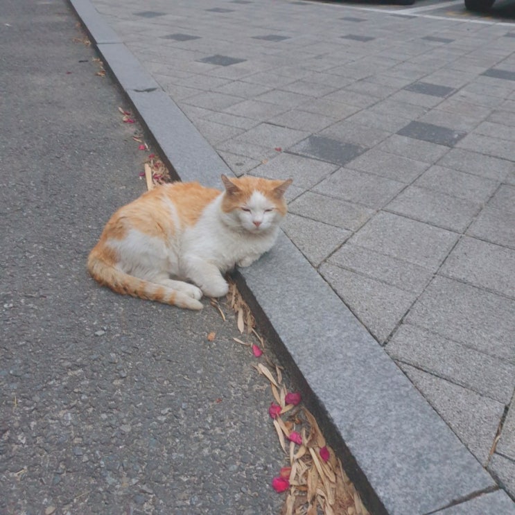  20210607 무제