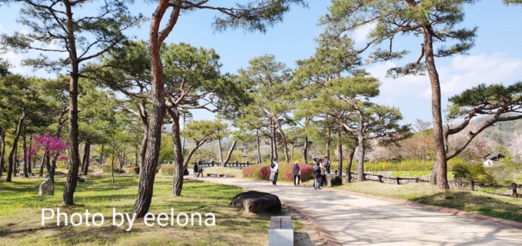  [가볼만한곳] 영주 소수서원 우리나라 최초의 사립교육 사액서원 교육유적지 백운동서원