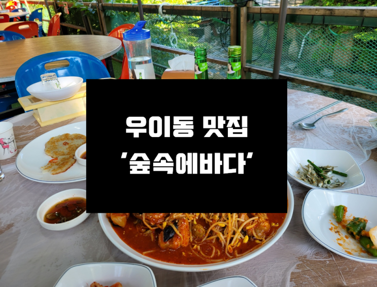  [우이동 맛집] 가족 나들이 가기 좋고 여름 물놀이하기 좋은 우이동 찐맛집 '숲속에 바다'