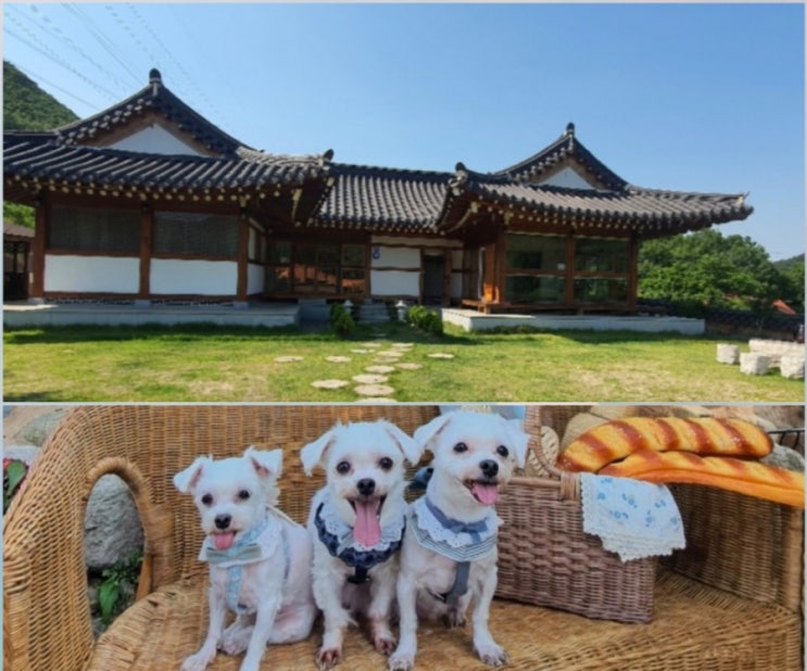  서휴재, 경주 한옥펜션, 애견 동반펜션, 포항 근처 독채