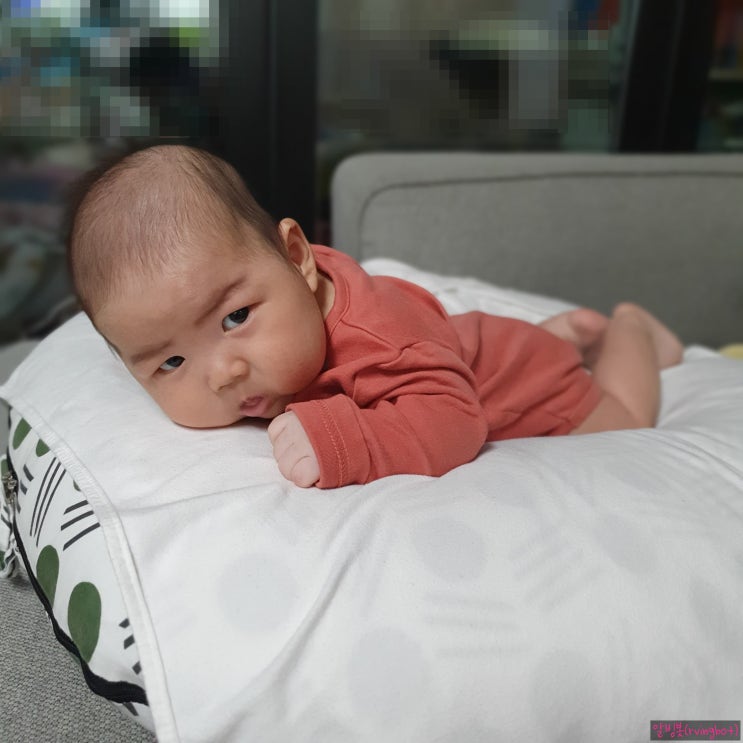  아직 100일 안된 영아 아기의 터미타임 시기와 방법