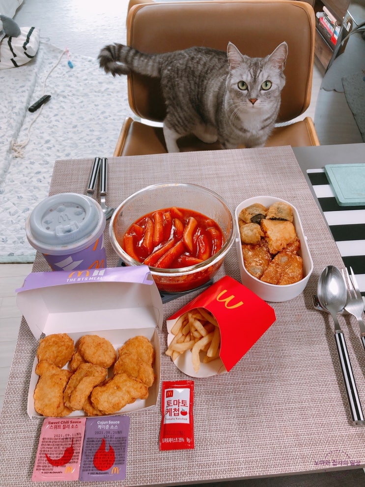  생활의달인 인천 부평 과일떡볶이 맛집과 BTS세트 포장(내돈내산)