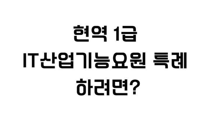  현역 1급 IT산업기능요원 특례 할 수 있을까?