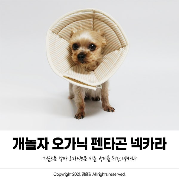 강아지 넥카라 원단이 부드러운 개놀자 넥쿠션 강아지 넥카라 원단이 부드러운 개놀자 넥쿠션