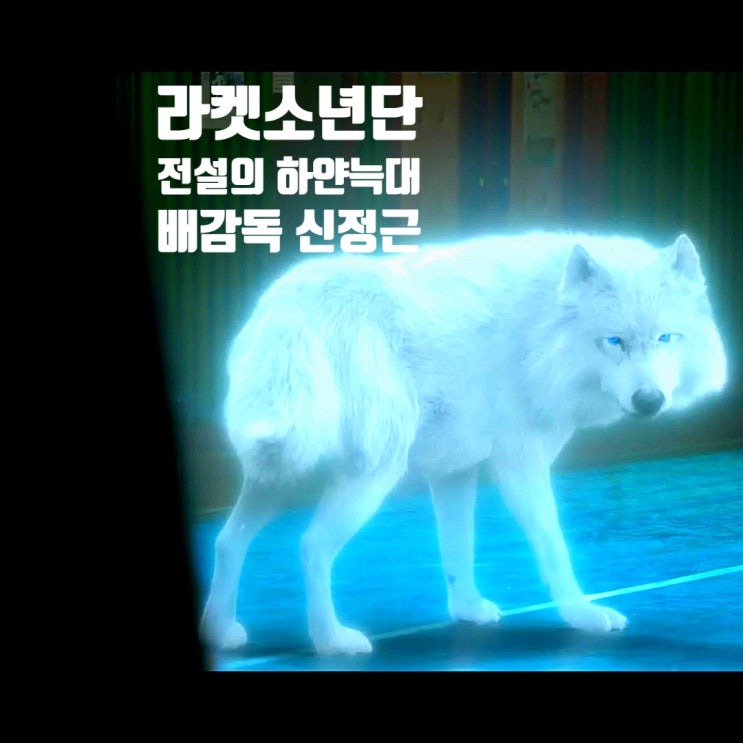 라켓소년단하얀늑대 배감독 신정근 알아보자 라켓소년단하얀늑대 배감독 신정근 알아보자