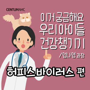  고양이 전염성 질환 ③ 허피스 바이러스 편 (센텀동물메디컬센터 엄나영 수의사)
