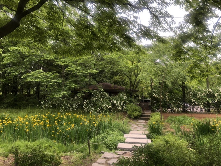 경기도 데이트 추천 오산 물향기 수목원 경기도 데이트 추천 오산 물향기 수목원