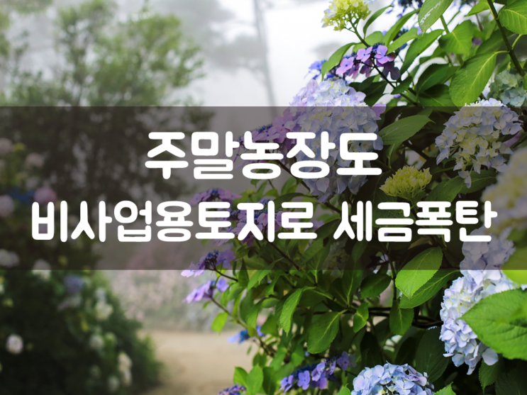  주말농장도 비사업용토지로 세금폭탄