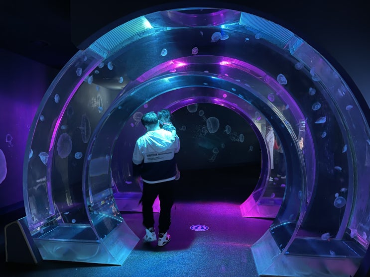 경기일산_시간순삭 무조건 할인받고 가자 "아쿠아플라넷"Aqua planet 일산아쿠아리움 35개월아이