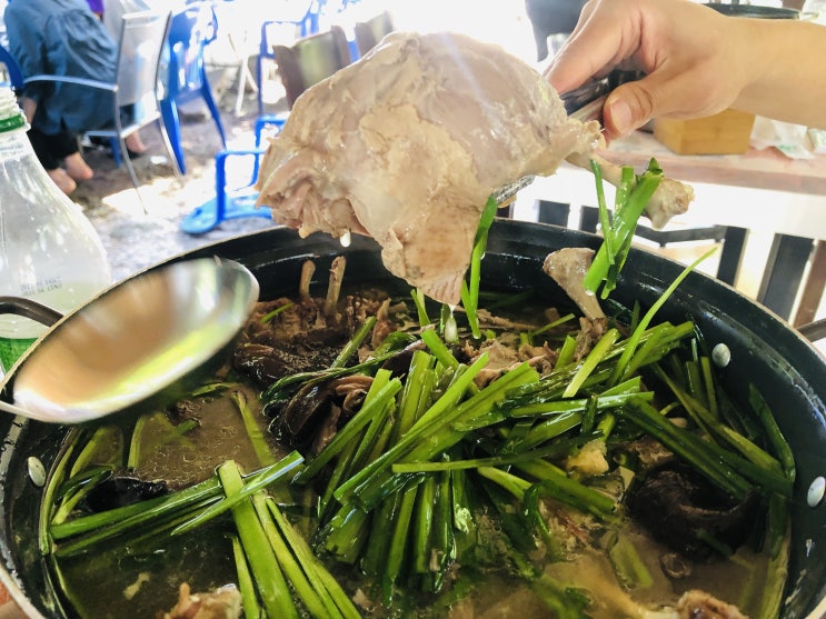  관악산 능이버섯 오리 백숙 돌담집 기가막힙니다!