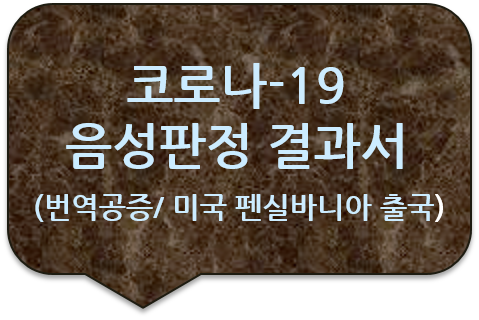 미국 펜실바니아주 출국을 위한 '코로나-19 음성판정 검사결과 확인서' 번역공증 [코비드-19 검사결과 확인서 번역공증(인증)]