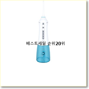 진또배기 워터픽 구매 인기 TOP 랭킹 20위
