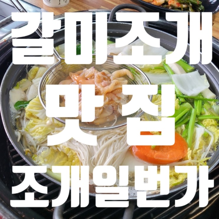  #명지갈미조개 #조개일번가