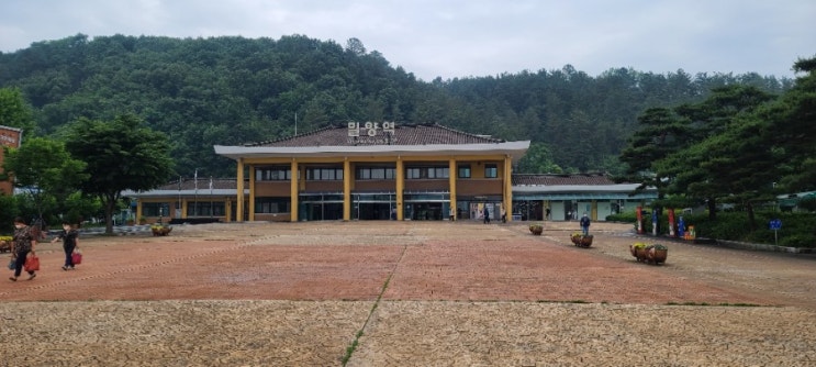  부산대학교 밀양캠퍼스 노인상담 노인치매 노인학대 노인인권 심리검사 강사 부산,경남,울산,마산,진해,김해,대구,대전,서울,수원,천안,진주,사천,광주,전남,전북,광명,김천,구미,포항