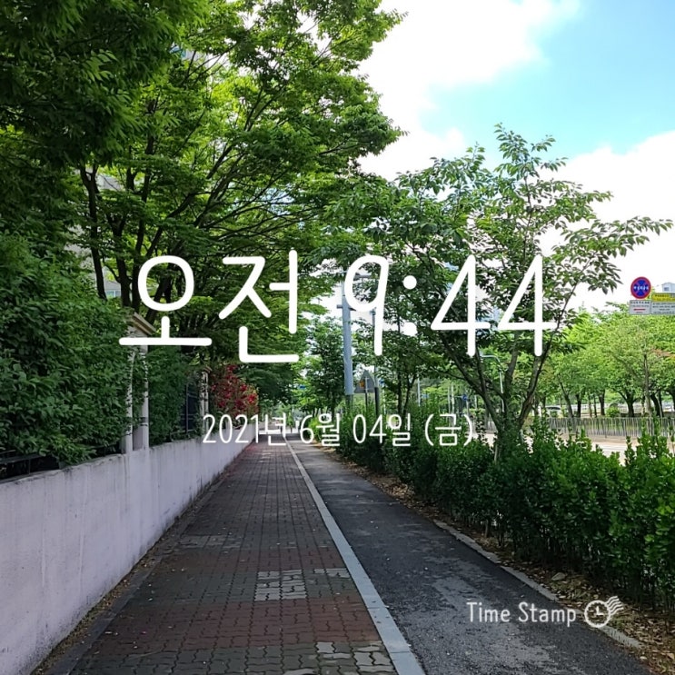  2일차 (64.9->65.0)