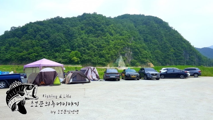  강원도 영월 무료노지캠핑장 낚시캠핑 다슬기채취 문개실강변유원지 추천합니다