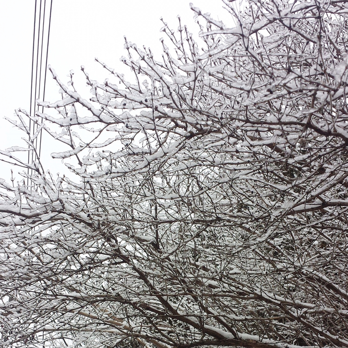 토론토 일상, 2015. 겨울