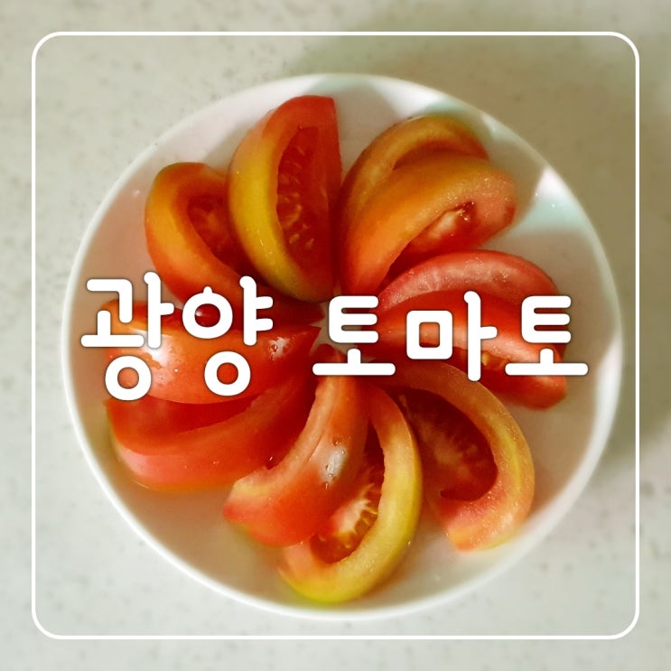  오늘의 택배 남도장터 푸르름 광양 진상토마토 2kg