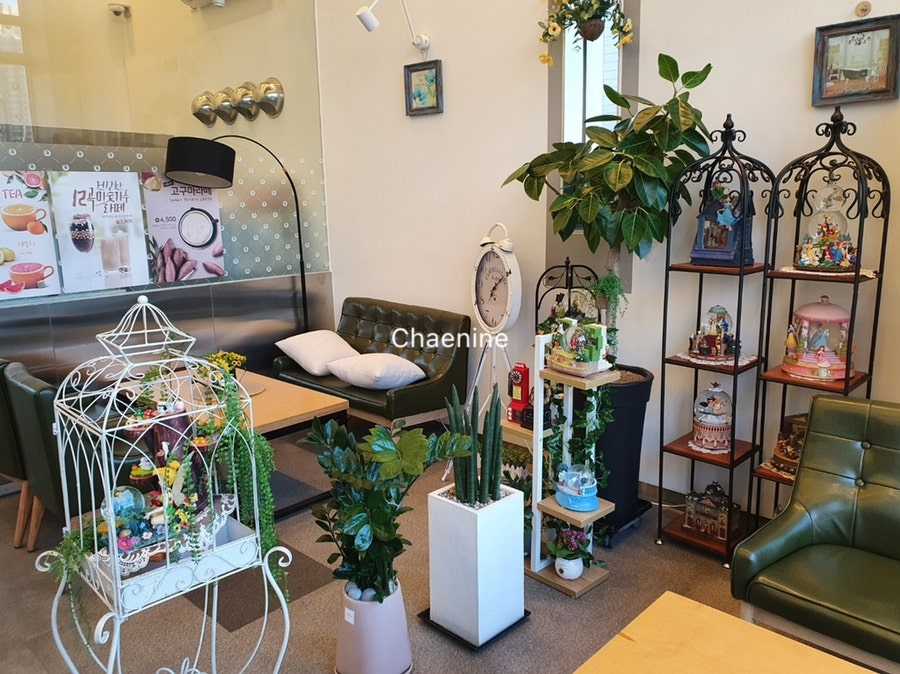 시스영 사진 1