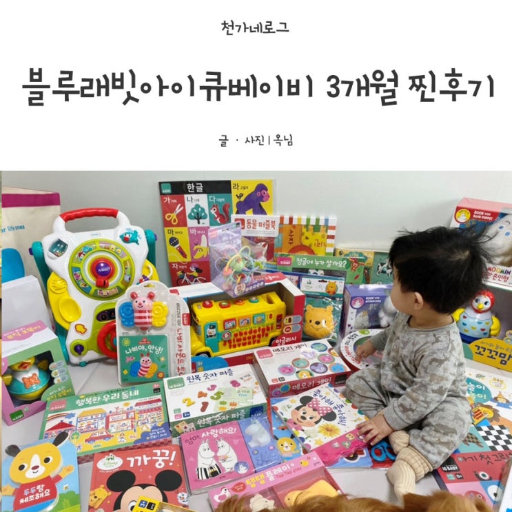  3개월 함께한 블루래빗 아이큐베이비 찐사용후기