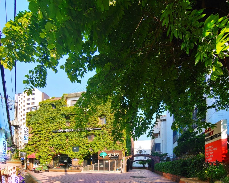  서울IT직업전문학교에서 취업에 날개를 달자