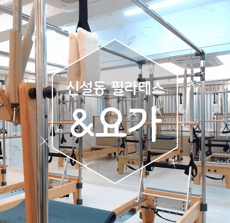 신설동 필라테스 넘치는 살 여름 대비 로움요가&필라테스