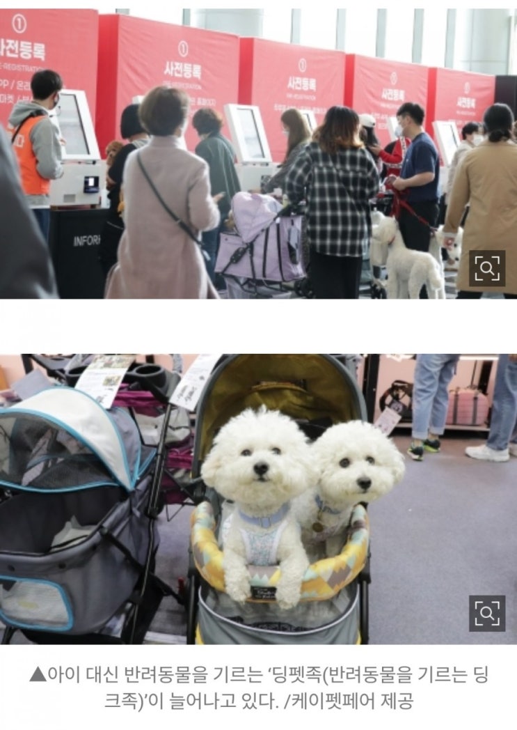 데일리퀴즈 6월8일 의도적으로 자녀를 낳지 않는 대신 애완동물을 기르는 현대 부부들을 무엇이라하나요? #의도적으로자녀를낳지않는대신애완동물을기르는현대부부 #자녀를낳지않는부부 #부부 데일리퀴즈 6월8일 의도적으로 자녀를 낳지 않는 대신 애완동물을 기르는 현대 부부들을 무엇이라하나요? #의도적으로자녀를낳지않는대신애완동물을기르는현대부부 #자녀를낳지않는부부 #부부