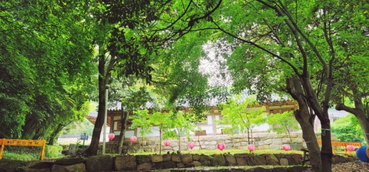  전라도 강진(3): 백련사