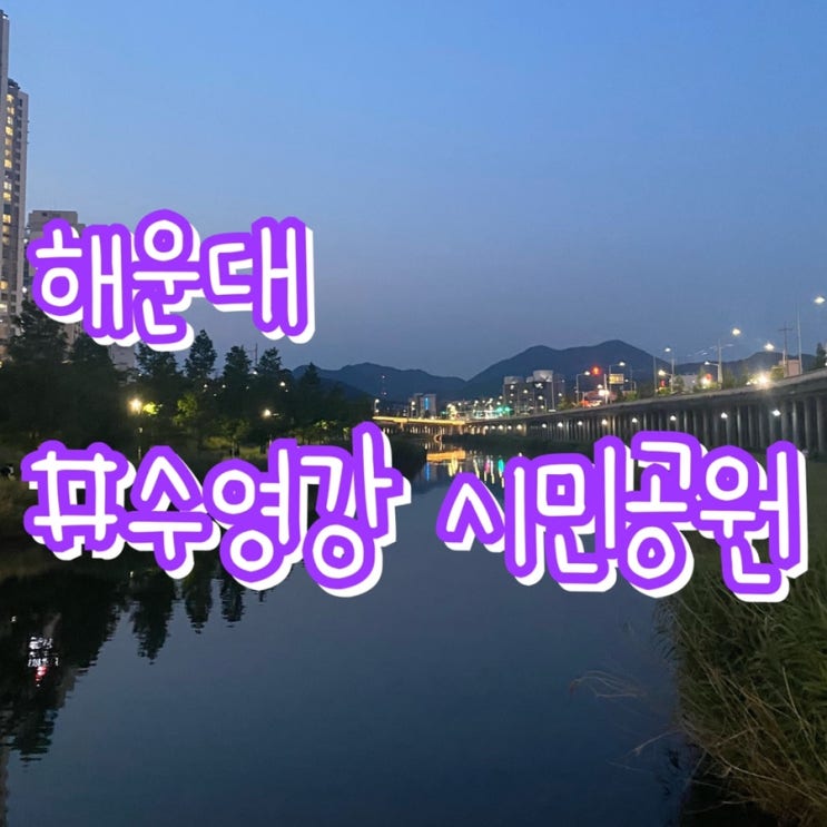 [해운대 수영강 시민공원] 우리동네 산책로/  수영강변 산책로