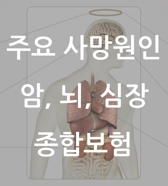  3대 사망원인 암, 뇌, 심장질환 진단비 보장으로 든든한 노후 설계해요
