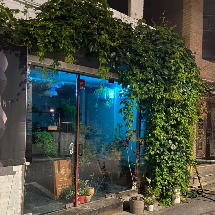 이태원 경리단길 카페 와인 식물