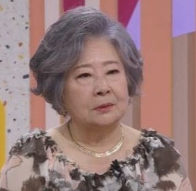 배우 탤런트 정혜선 전남편 박병호 결혼 이혼사유 나이 본명 학력 프로필 직업 고향