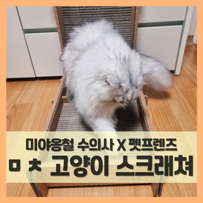  고양이 스크래쳐 리필 가능에 대형 수직 제품이 나왔다! (f. ㅁㅊ 스크레쳐)