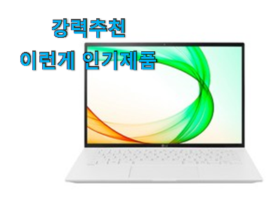  강력추천 lg 그램 2021 목록 너무 맘에듭니다