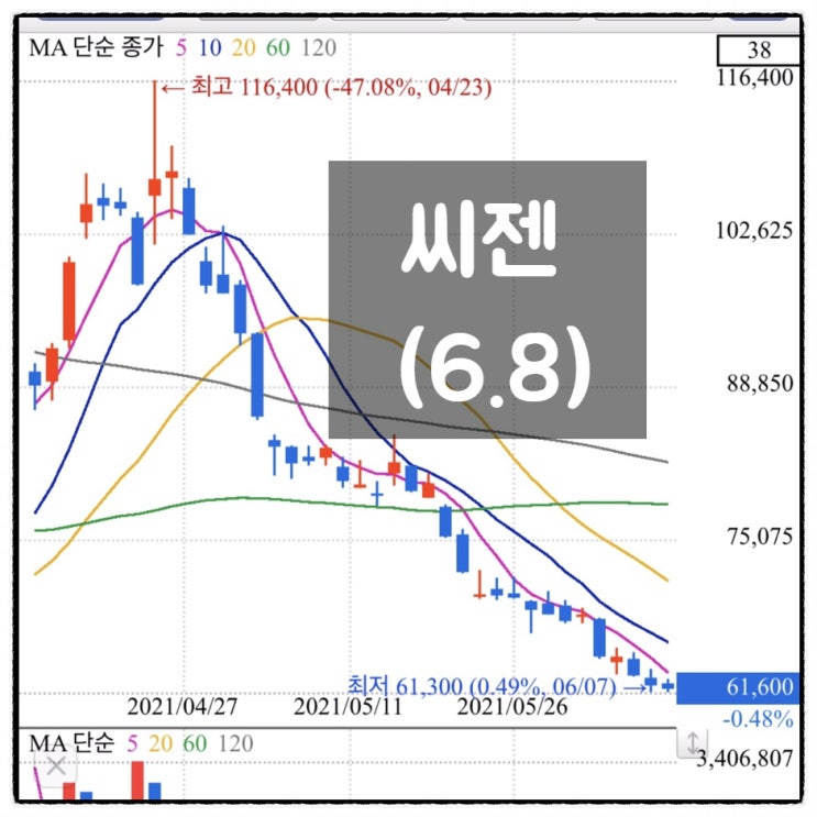  [미자의 주식일기] 씨젠 (6.8)