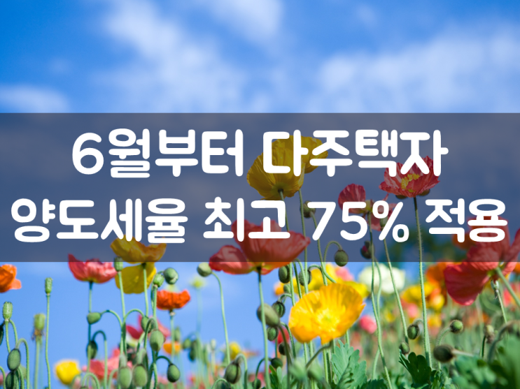  6월부터 다주택자 양도세율 최고 75% 적용