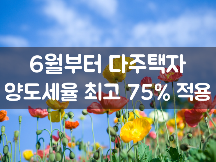 6월부터 다주택자 양도세율 최고 75% 적용