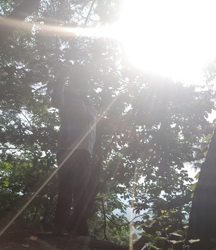 오늘 아침 설봉산의 풍경 오늘 아침 설봉산의 풍경