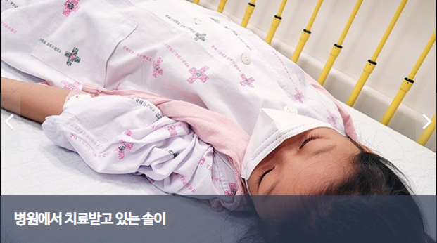언니가 네 몫까지 살아낼게, 꼭...