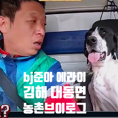 준아 반려견에라이의 김해대동면 농촌 브이로그 준아 반려견에라이의 김해대동면 농촌 브이로그