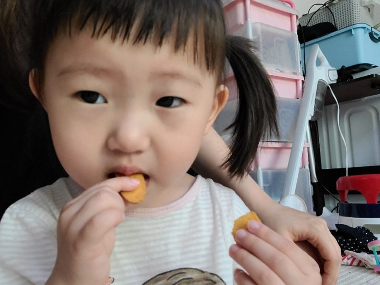  24개월 육아일기 달려라 뽐비