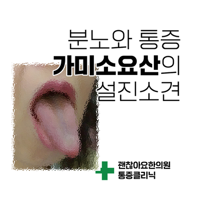  분노의 감정과 통증. 가미소요산의 설진소견 [통증의 한방치료 5] ①