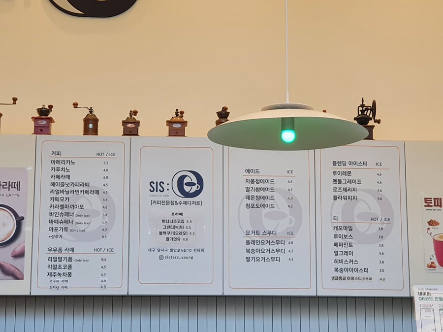 시스영 사진 5
