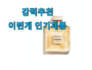  가성비 샤넬 가브리엘 핫한 꿀템 선물하기에도 좋은듯 해요