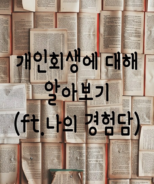  개인회생에 대해 알아보기(ft.나의 경험담)